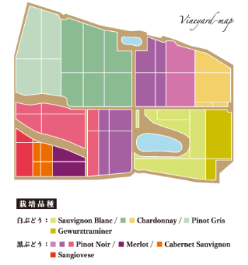 Vineyard-map